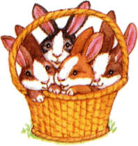 a basket with bunnies
